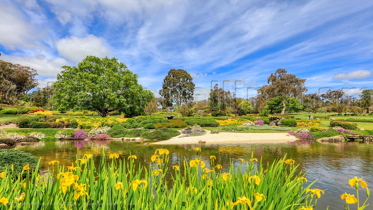 Peter Bellingham Photography Japanese Garden - Cowra